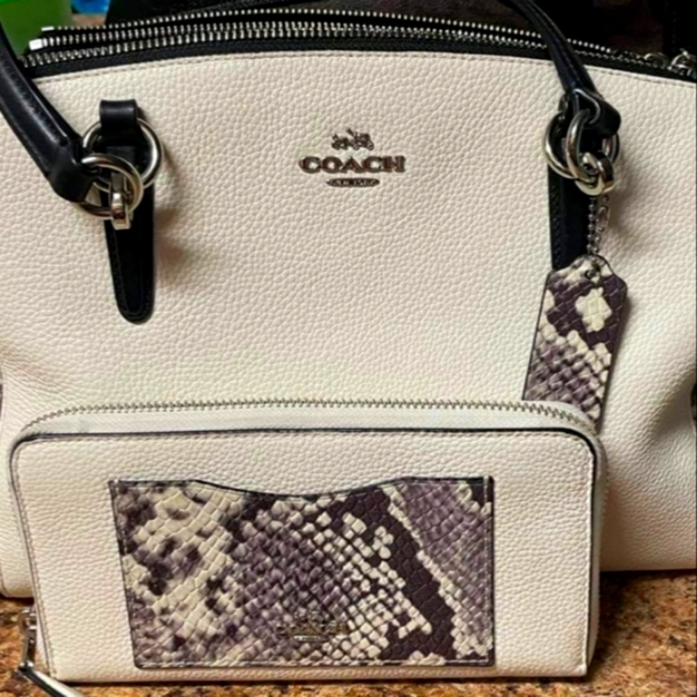 Coach purse and matching wallet
